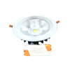 LED COB spotlight, 30 Watt, Cool White, 20 cm, NEWPOWER Forte