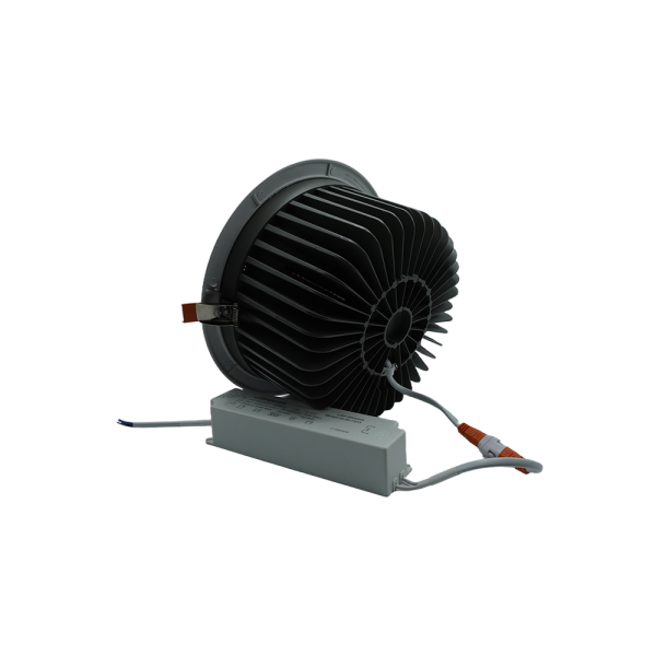 102022-02-COB DOWN LIGHT 80W 20CM 6500K NEWPOWER