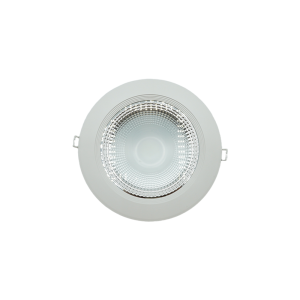 103049-01-SMD HYBRID DOWN LIGHT 30W 20CM 6500K NEWPOWER