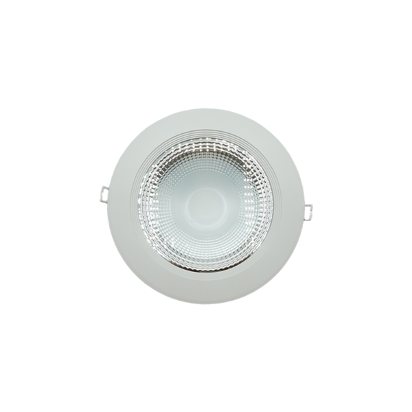 103049-01-SMD HYBRID DOWN LIGHT 30W 20CM 6500K NEWPOWER