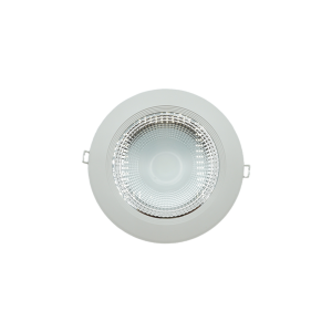 103050-01-SMD HYBRID DOWN LIGHT 30W 20CM 3000K NEWPOWER