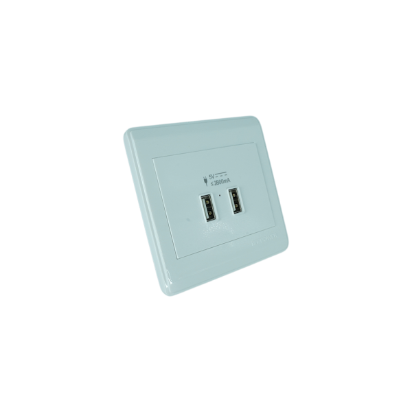 NP-120-03 Double USB Charger Outlet 7×7 White NEWPOWER